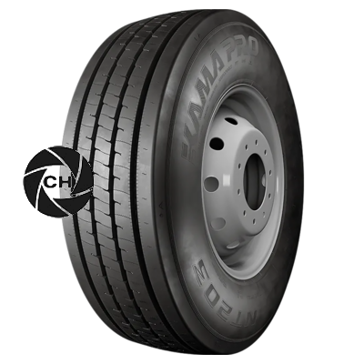 385/55R22,5 160K PRO NT 203 TL M+S 3PMSF